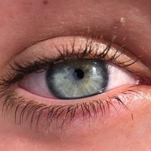 Meet your Posher, Alexia